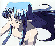 Cel seikai-05