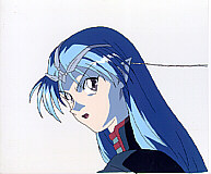Cel seikai-10