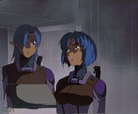 Cel seikai-53